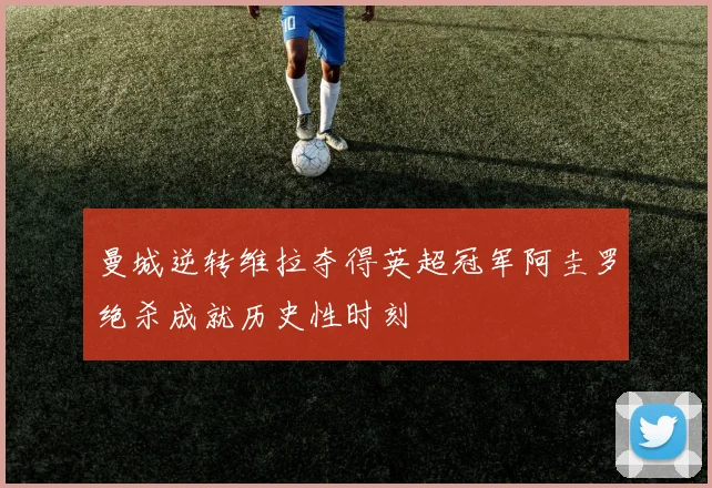 曼城逆转维拉夺得英超冠军阿圭罗绝杀成就历史性时刻